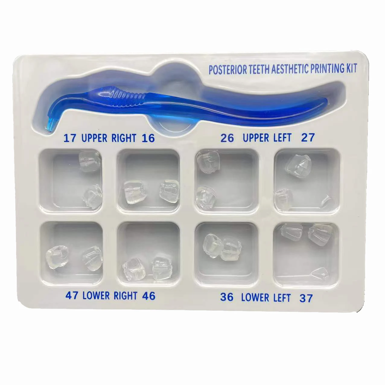 3D Printing Orthodontics - Dental Orthodontic Posterior Teeth Aesthetic 3D