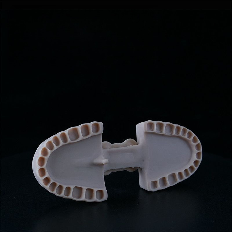 Dental Model Resin LCD Photocu - 3D Printing Orthodontics avis et prix