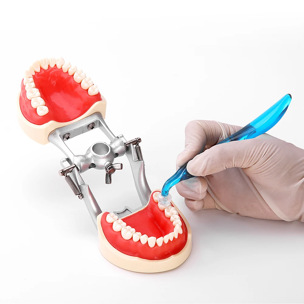 Dental Orthodontic Posterior T - 3D Printing Orthodontics avis et prix