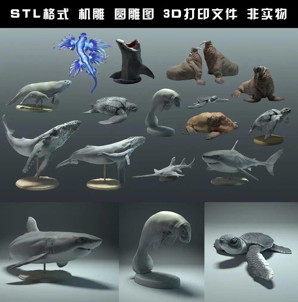 animals, polar bear, takin, wo - 3D Printing File Free avis et prix